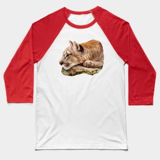 Cougar waiting to pounce Baseball T-Shirt